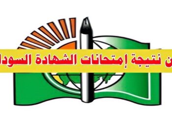 عمار العركي.. يكتب : تمخض جبل الارتباك الإماراتي فولد فبركة شحنة أسلحة وتشكيكًا في خطاب السودان الأممي