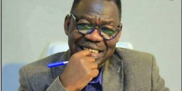 الركابي حسن يعقوب .. يكتب: المليشيا.. كآبة المنظر وسوء المنقلب