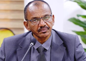 عمار العركي.. يكتب : تمخض جبل الارتباك الإماراتي فولد فبركة شحنة أسلحة وتشكيكًا في خطاب السودان الأممي