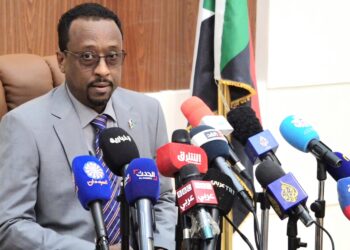 الإعيسر: الوجود الأجنبي أكبر مهدد أمني بعد المليشيات الإرهابية