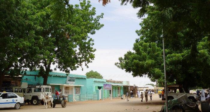 اشتباكات عنيفة بين متمردي ومرتزقة مليشيا الدعم السريع بـ”بارا” وهروب مستنفرى المليشيا بالفاشر