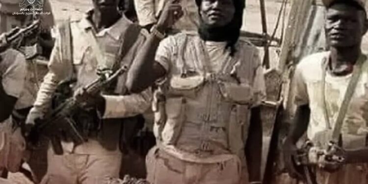 عضو مجلس السيادة دكتورة سلمى عبد الجبار تلتقي السفير المصري