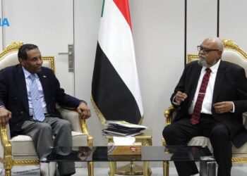 عضو مجلس السيادة دكتورة سلمى عبد الجبار تلتقي السفير المصري