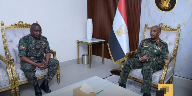 الكشف عن مقابر داخل جامعة الجزيرة والسلطات المختصة تبدأ نبش “26” قبراً