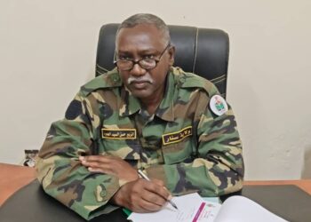 الحكم بالسجن “15” عاماً على متعاون مع القوات المتمردة بشندي