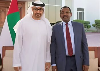 طه عثمان الحسين يقوم بجولة أفريقية لبحث ملفي “عضوية السودان والحكومة الموازية” بتكليف من بن زايد