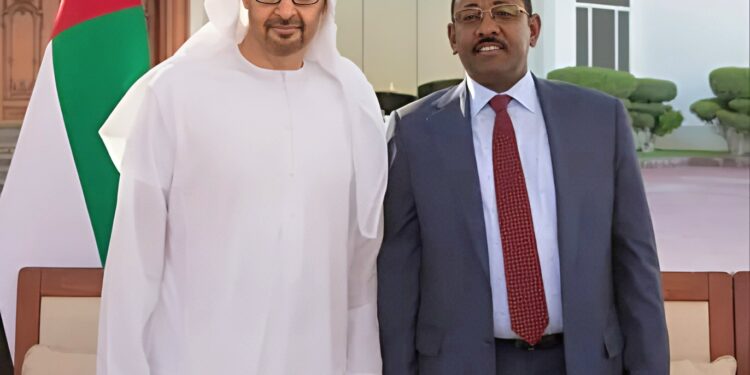 طه عثمان الحسين يقوم بجولة أفريقية لبحث ملفي “عضوية السودان والحكومة الموازية” بتكليف من بن زايد