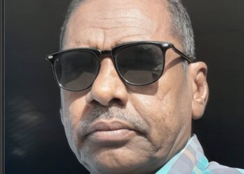 ياسر الفادني يكتب: قطع رأس الأفاعي