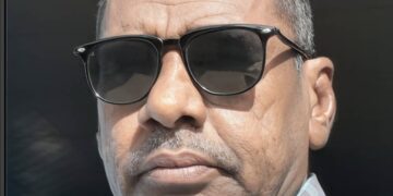 ياسر الفادني يكتب: قطع رأس الأفاعي