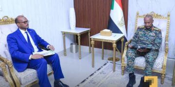 وزير الخارجية والتعاون الدولي يلتقي نظيره المصري