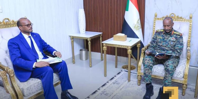 وزير الخارجية والتعاون الدولي يلتقي نظيره المصري